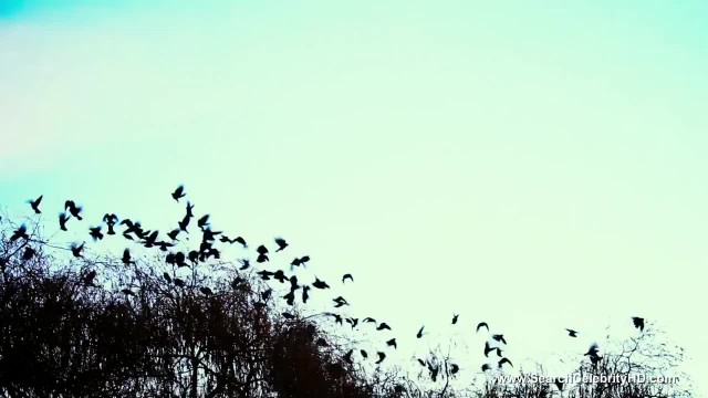 Охотник трахнул стройных туристок - #6